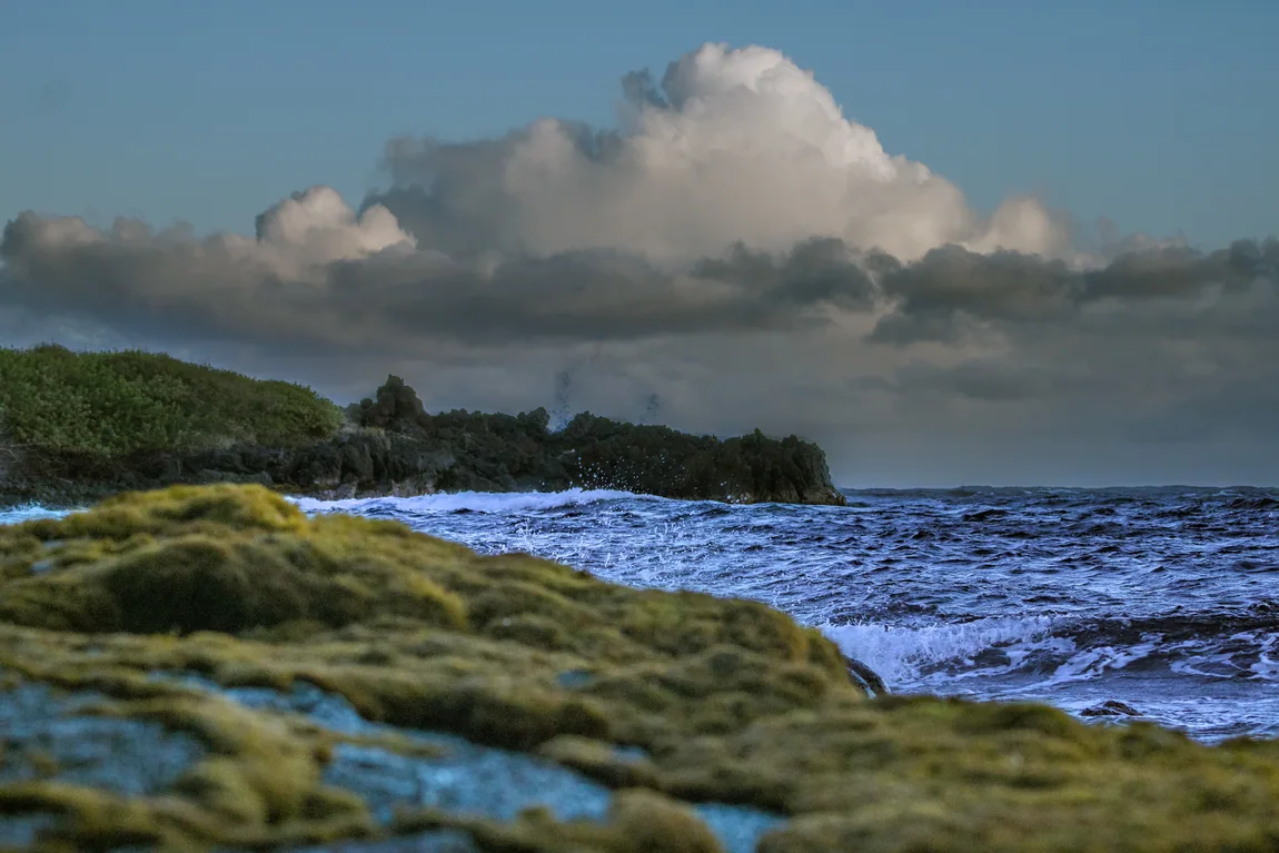 Waves along a mossy volcanic shoreline under cloud formations.