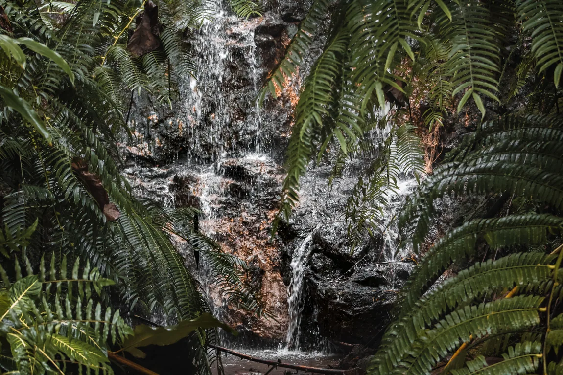 Waterfall dropping through lush green tropical vegetation.